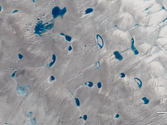 A view of Greenland's ice sheet from the NASA/USGS Landsat 8 satellite showing meltwater lakes on a glacier. (Credit: NASA)